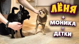 ЛЁНЯ + МОНИКА = ДЕТКИ