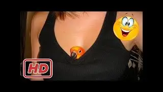 AMAZING VIRAL VIDEOS 😎😎😎 LIKE A BOSS COMPILATION 🌎🌜🔥 #8