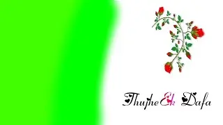 Wedding background video effects 4K green screen || Wedding green screen effects background