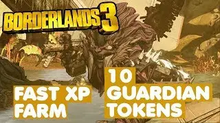 FAST FARM XP 10 GUARDIAN TOKEN 15 MINUTES - Borderlands 3 MM 3