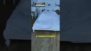 ПРОГНАЛА СОБАКУ, КОТОРАЯ СДЕЛАЛА ЭТО😨 