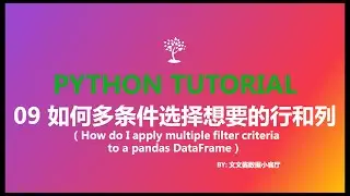 09 how do I apply multiple filter criteria to a pandas dataframe