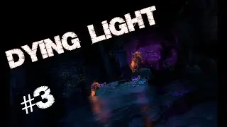 🔥 РАСХИТИТЕЛИ ГНЕЗД ПРЫГУНОВ! | DYING LIGHT: THE FOLLOWING #3 🔥