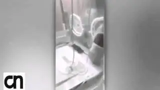 Rat in baby incubator bit newborn before being beaten to death