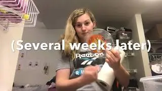 Stratifying Method For Germination (Part 1)