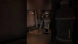 Слово блогера, камера на асфальте #contentwarninggame #coopergaming #duo