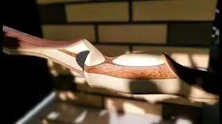 Идеальный лук для новичка ?👍Выбираем первый лук на примере 