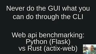 Web api benchmarking: Python (Flask) vs Rust (actix-web)