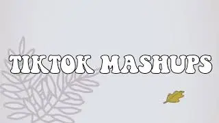 Tiktok Mashups 2020🐍 (not clean)