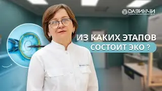 Из Каких Этапов Состоит ЭКО?