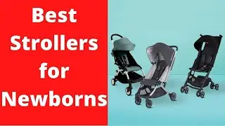 The Best Newborn Strollers of 2021: The Ultimate Guide