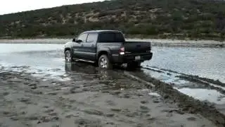 Tacomas atascadas