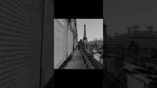 Свинтус|Я в Париже. #свинтус #shorts