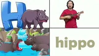 Animal Alphabet A-P