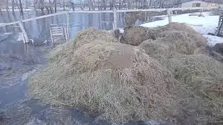 у нас потоп