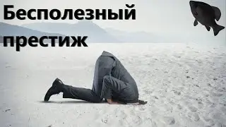 🐟Бесполезный престиж · Crossout/Кроссаут
