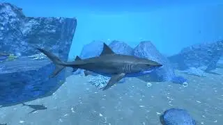 Shark Simulator, Ultimate Shark Simulator, Ocean Underwater Adventure,  Android IOS