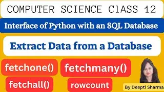 Display Data by using fetchone(), fetchmany(), fetchall() and rowcount | Interface Python with MySQL