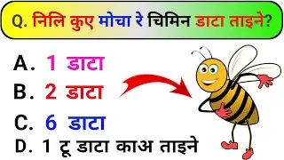 Question Answer || Gk Question Answer 2024 || Gk Qkquiz Knowledge || Ho General Knowledge || #gk