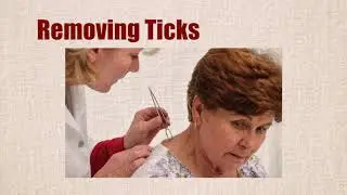 Let's Have a Tick Talk - 2020