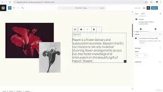 WordPress Gutenberg Block Editor Explained (2025)