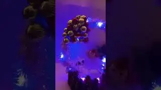1 декабря 2023 г.