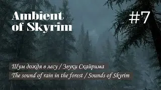 Шум дождя в лесу / Звуки Скайрима | The sound of rain in the forest / Sounds of Skyrim