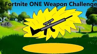 Fortnite ONE Gun Challenge!