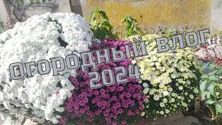 Новый огородный влог из Сербии 2024