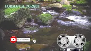 Formatia Curnut (Группа Курнуц) - Fetele mele (cuvintele lui Valeriu Rincau)