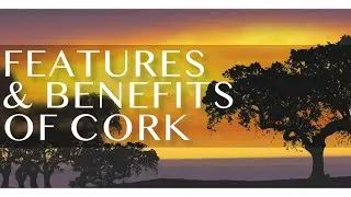 Features & Benefits of Cork