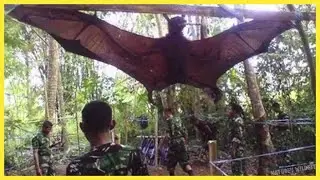 ANIMAIS GIGANTES ENCONTRADOS AO REDOR DO MUNDO