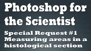 Using Photoshop to measure areas in a histological section