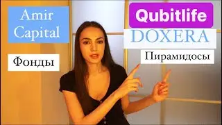 Amir Capital. Qubitlife, DOXERA. Фонды и хайпы, пирамиды