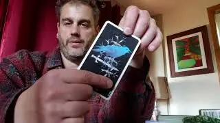 How to Read the Court Cards in Tarot