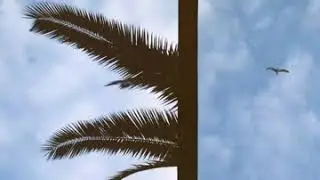 Yüzyüzeyken Konuşuruz   Ölsem Yeridir