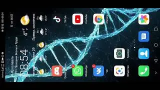 Chia 💸💸 майнинг на жестких дисках HDD и SSD 2021г. Все железо раскупили. Начало 🔨💰💥💸💸💸