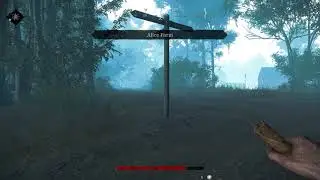 Hunt: Showdown NIGHT VISION GLITCH!