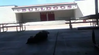 Nollie Lazer Flip