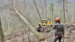 Logging Conditions in Pa Forests