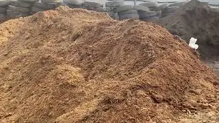 КАК ВЫГЛЯДИТ НАВОЗ КОНСКИЙ
