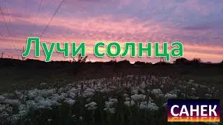 Санек   "ЛУЧИ СОЛНЦА"