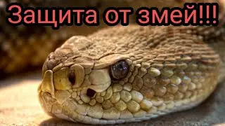 Защита от змей. Заговоры. Заклинания.