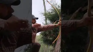 Making Primitive Bow Osage Comanche Bow #primitivetechnology #comanche #archery