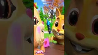 The lovely squirrel's day went wrong 