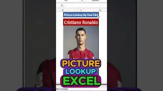 Excel Pro Trick: Picture Lookup By One Click in Excel. 