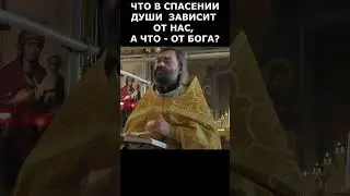 Что в спасении души зависит от нас, а что - от Бога? Священник Валерий Сосковец  #жизнь