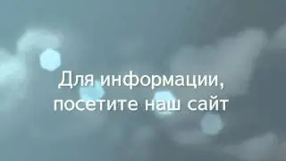 Многократная виза