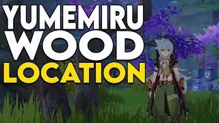 Where to get Yumemiru Wood in Genshin Impact