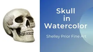 Human Skull in Watercolor